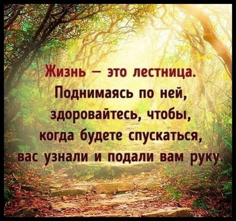 О жизни человека подобного. Красивые цитаты. Мудрые изречения. Умные фразы. Умные высказывания.