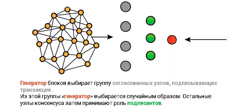 Динамическая сетевая структура. Алгоритмы консенсуса примеры. Структура динамической сети.