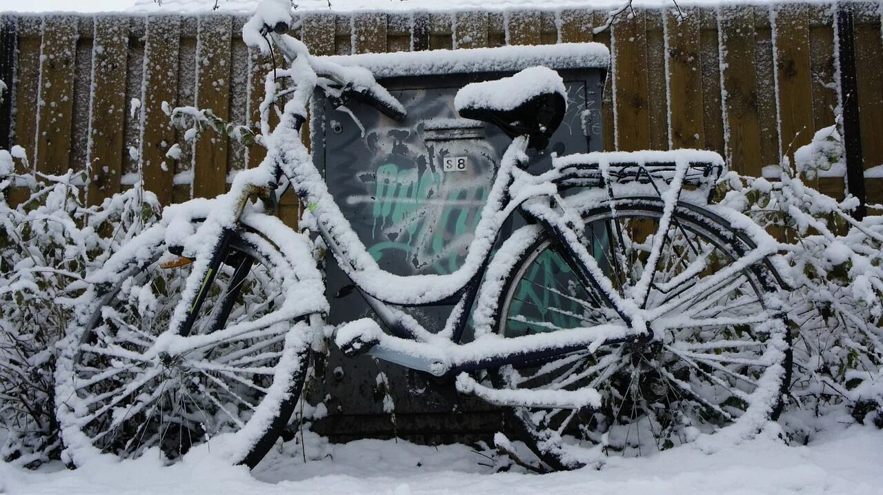 azub-fat-recumbent-trike-for-snow-mud-sand-baikal (2) Trike, Recumbent bicycle,