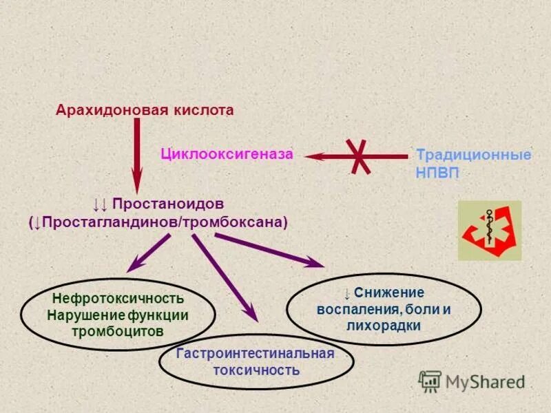 Арахидоновая кислота купить