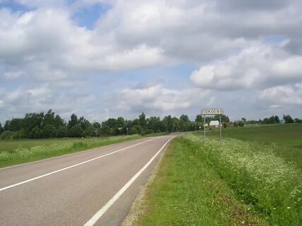 Погода в д покоево