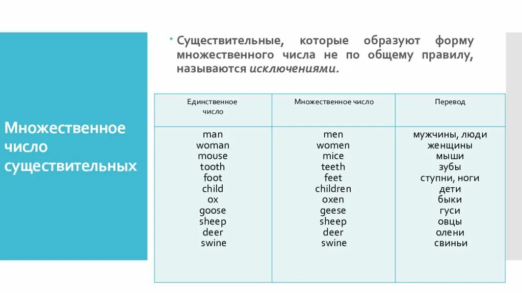 Какие вести перевод. Множественное число число существительных в английском языке. Написание множественного числа в английском языке существительных. Форма существительного в английском. 3 Формы существительных в английском языке.