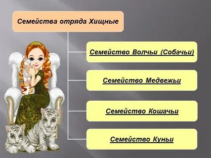Отряд хищные какие семейства