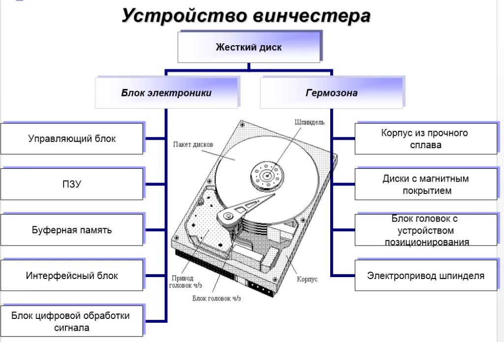 Где располагается информация