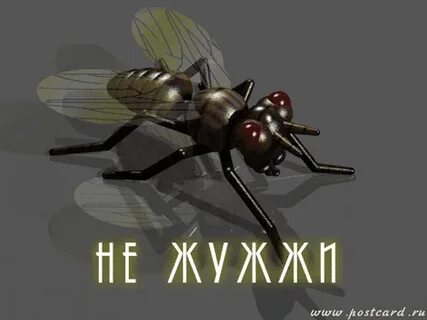 Смешная муха