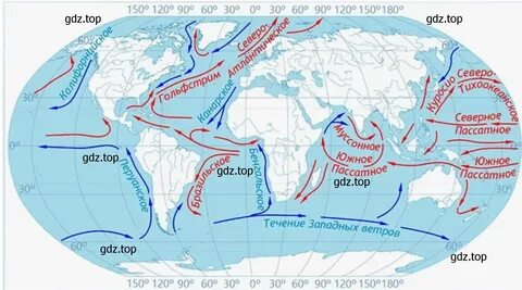 номер 13 (страница 46) гдз по географии 5-6 класс Николина, мой тренажёр 2023