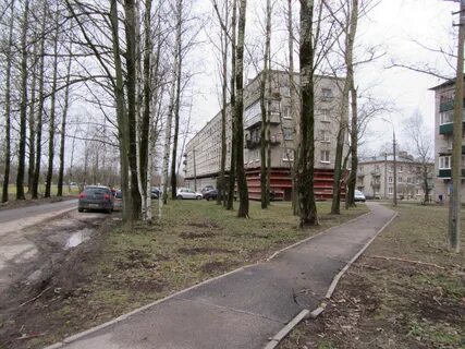 Поселок понтонный ленинградская область