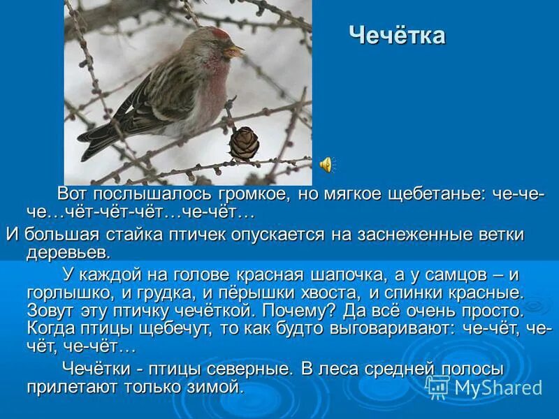 Авторские галереи - Фомин Николай Дмитриевич / Чечётка. / Графика Анималистика