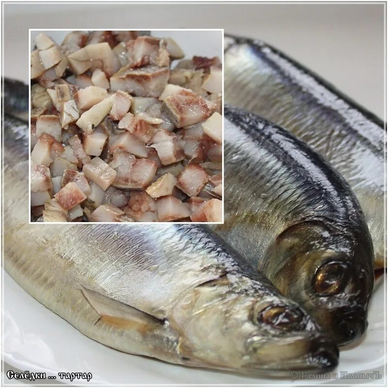 слабосолёная сельдь 500+. сельдь слабосоленая. какая селедка жирнее и вкуснее. какая селедка жирнее и вкуснее. лобань.