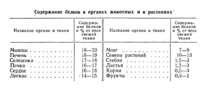 Сколько грамм белка нужно для роста мышц. Белковый состав органов и тканей. Содержание белков в органах и тканях. Содержание белка в теле человека. Содержание белков в органах и тканях человека.