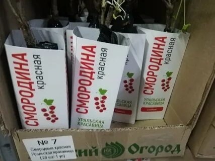 Светофор михайловск свердловская область