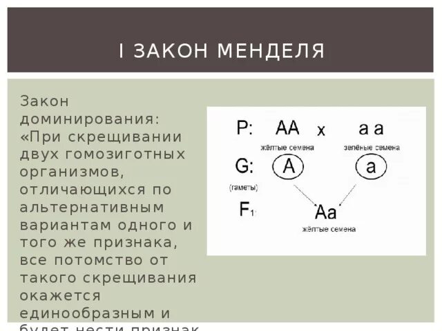 При скрещивании гомозиготного организма в потомстве