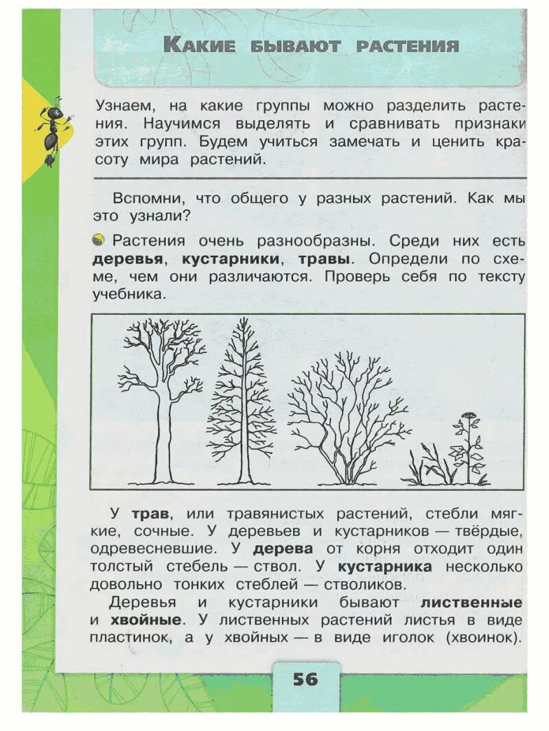 Тест кустики 4 класс с ответами. Растения по окружающему миру 2 класс. Какие бывают растения окружающий мир. Окружающий мир темы второго класса. Растения 2 класс окружающий мир.