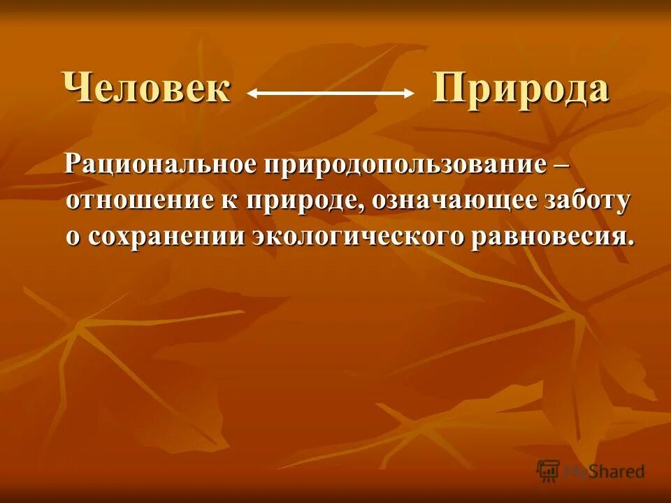 Охрана природы и рациональное природопользование. Заботиться значение