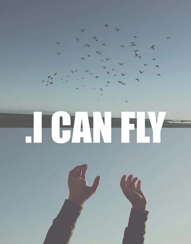 I can fly исполнитель. I can Fly. Хчо i can Fly. Фото i can Fly. I believe i can Fly обои.