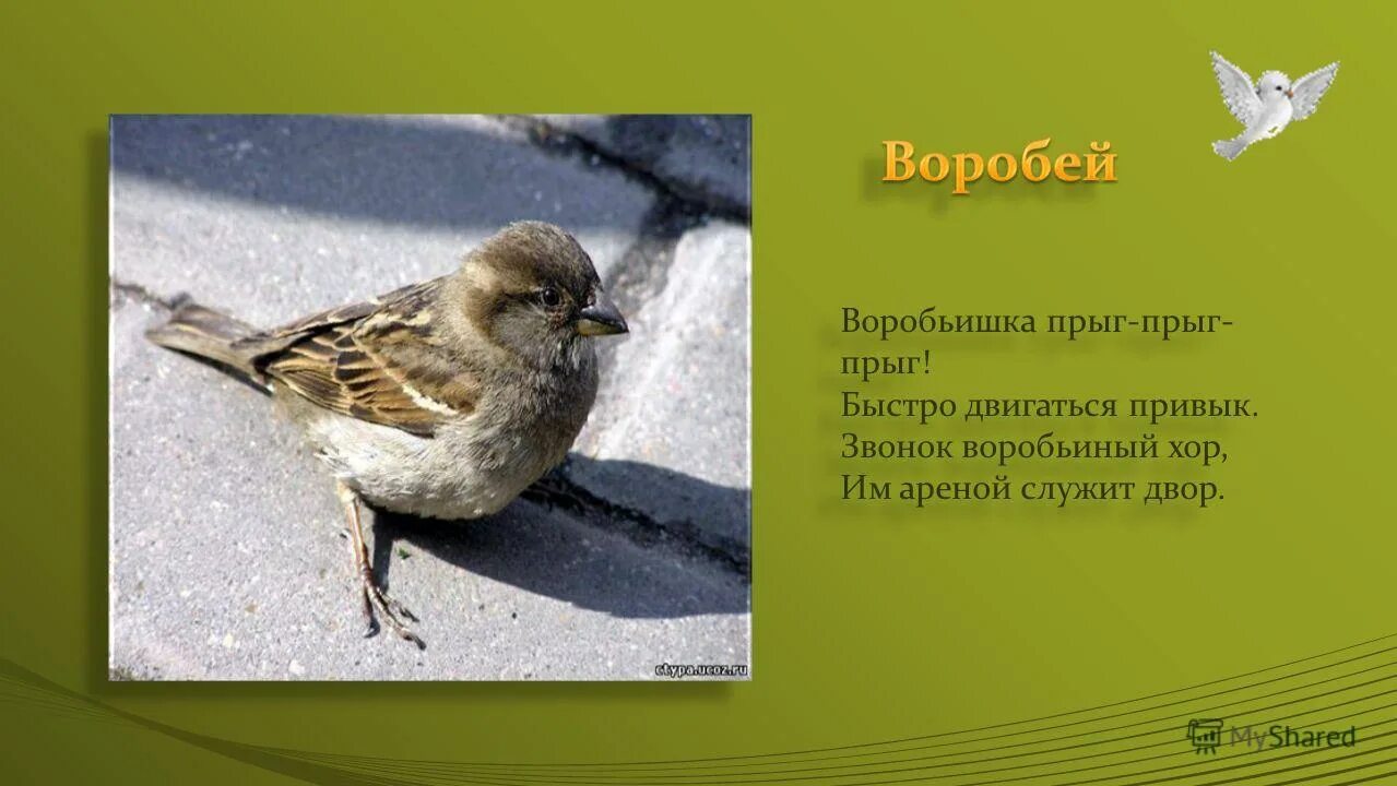 основа слова воробьиный