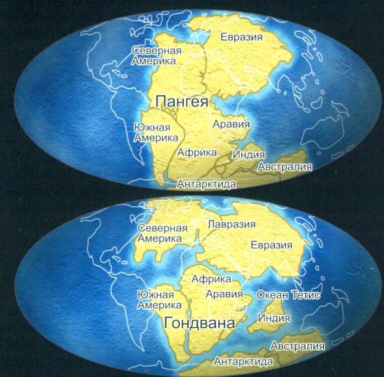 Пангея Лавразия и Гондвана. Древние материки Пангея Лавразия Гондвана. Суперконтинент Гондвана и Лавразия. Пангея Разделение материков.