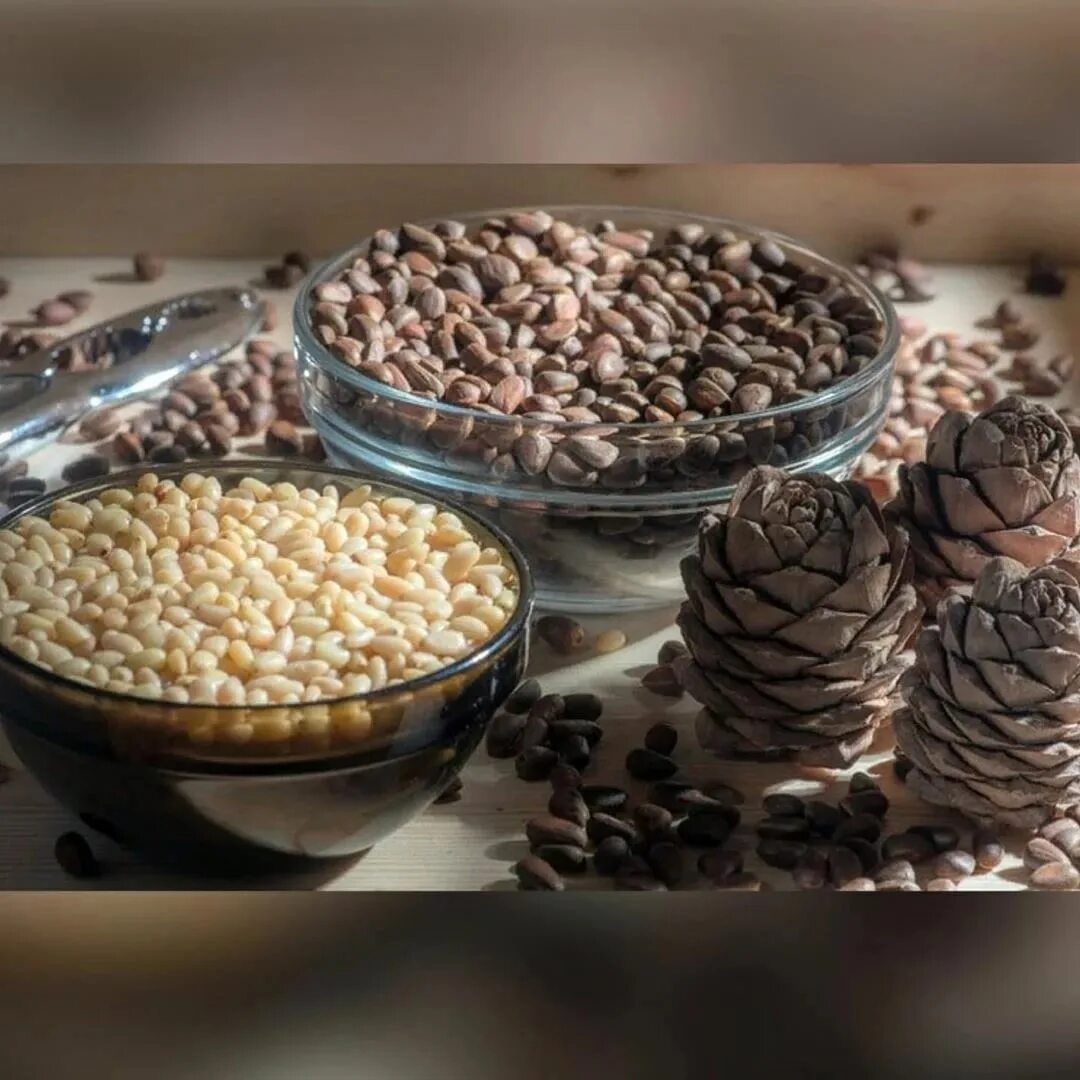 Кедровые орехи это семена. Кедровый орех. Обжаренные кедровые орешки. Где можно кедровые орехи. Где можно кедровые орехи.