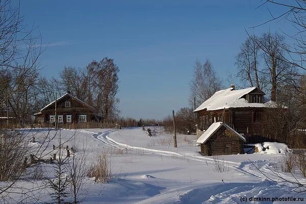 Прозябать в Зябликово или наслаждаться жизнью? Взгляд местного жителя на "москов