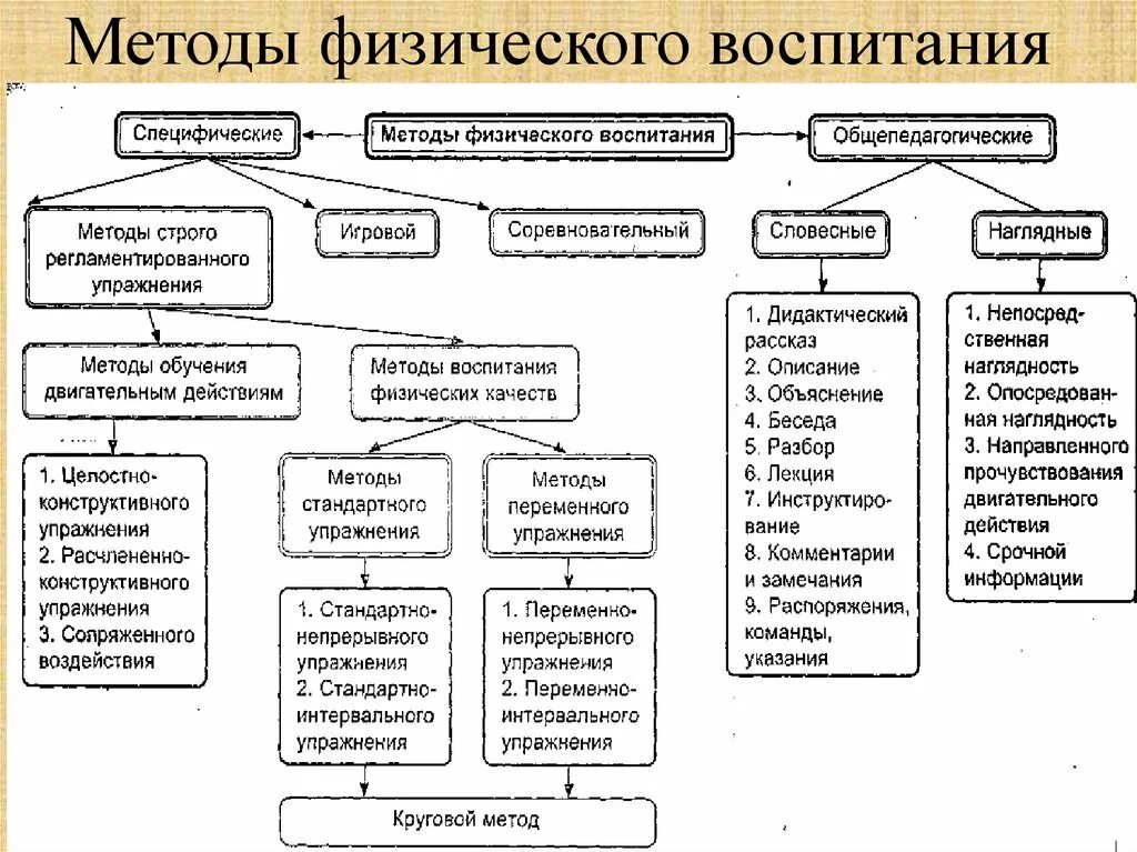 Средства воспитания детей младшего школьного возраста. Схема классификация методов физического воспитания. перечислите основные методы физического воспитания. методы обучения в физическом воспитании. метод физического воспитания классификация методов.