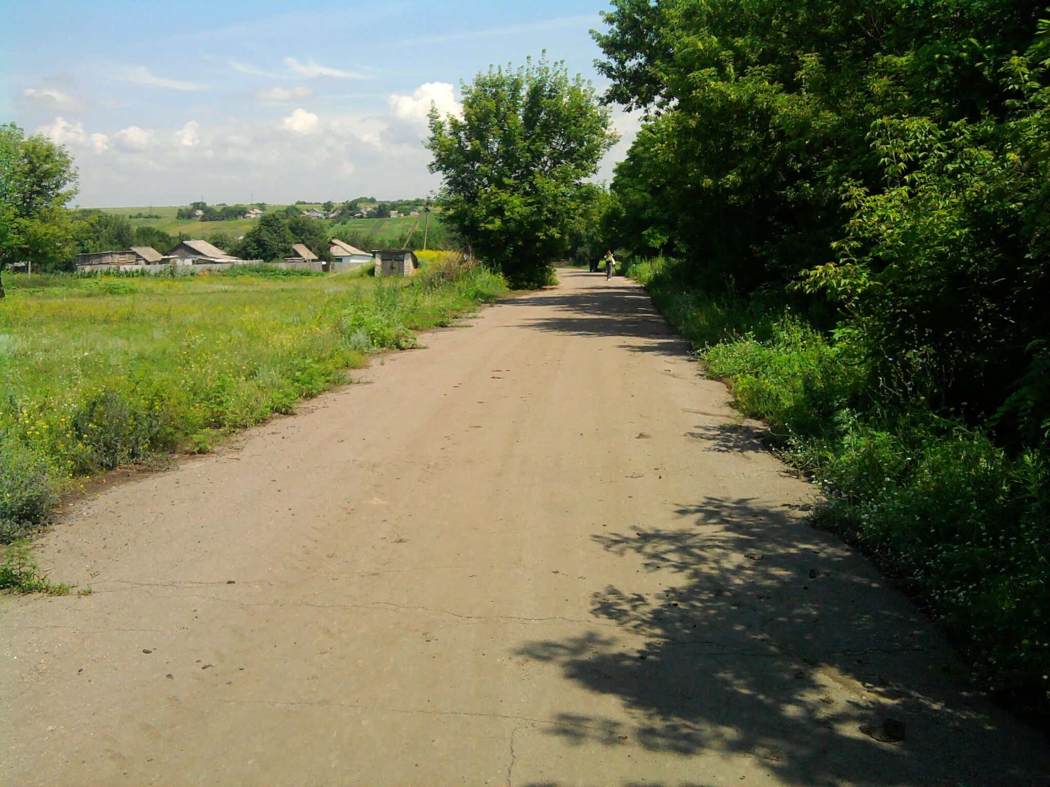 Село зелени. Село зеленое Украина. Село зеленое Кировоградской области. Село зеленое Петровского района Кировоградской области. Петровский район (Кировоградская область).