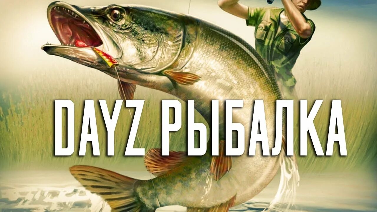 Рыбалка дейз. Крафт удочки дейз. Dayz рыбалка. Рыба в дейз. Рыба в дейз.
