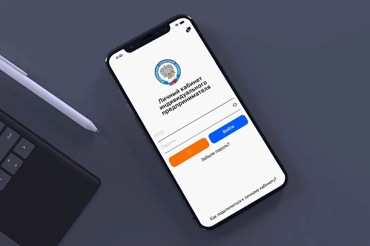 Мобильное приложение ФНС. Личный кабинет ИП. Мобильное приложение личного кабинета налогоплательщиков. Мобильное приложение ЛК ИП. Lkip nalog