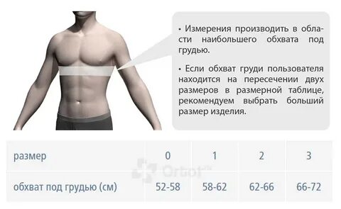 Биология 8 класс измерение обхвата грудной клетки