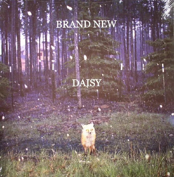 Be gone слушать. Brand New Daisy. Brand New. Brand New morning Magnum. Обложка альбома Magnum--2004- brand New morning.