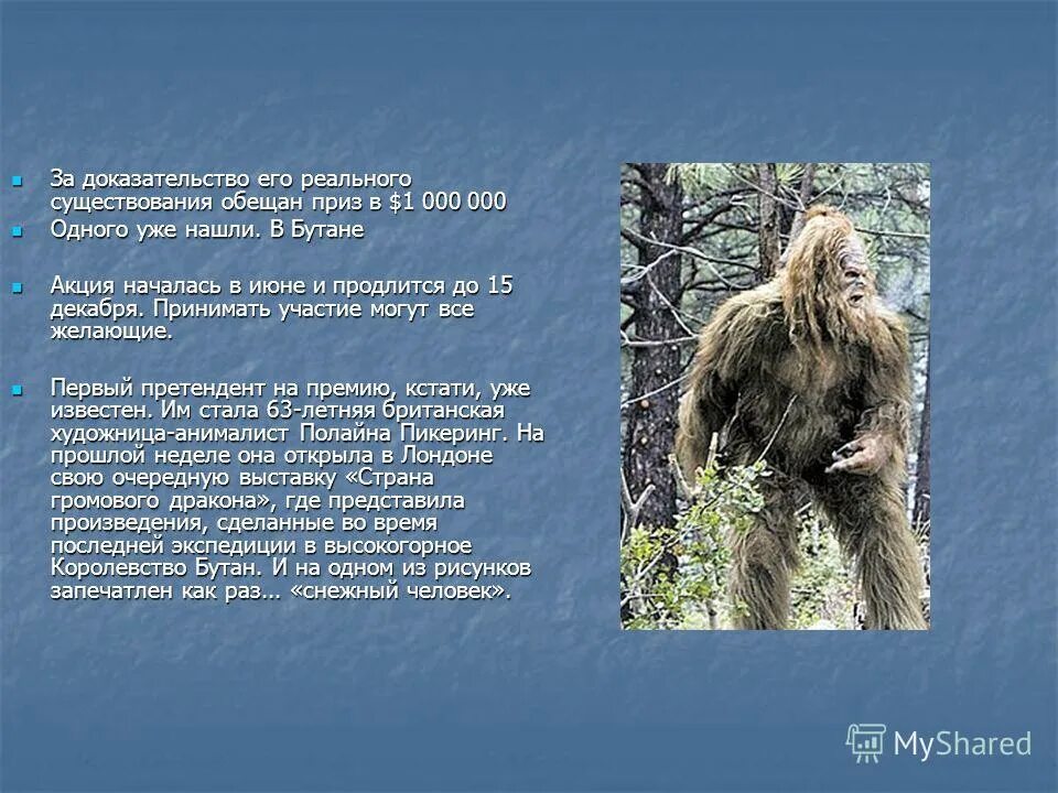 Снежный человек доказательства. Снежный человек слова. Снежный человек слова. Легенда о снежном человеке. Снежный человек презентация.