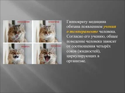 Появлению обязаны