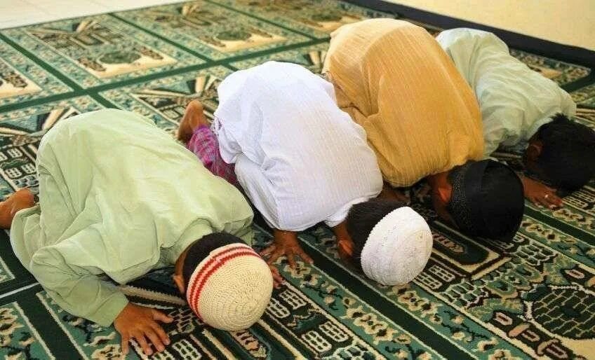 Что такое намаз у мусульман. Мусульмане кланятся. Мусульмане молятся на коленях. Картинки как молятся мусульмане. Иртэнге намаз видео