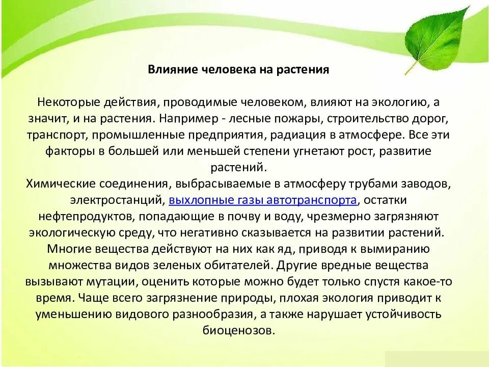 Презентация влияние экологических факторов на растения. Основные экологические факторы. Влияние экологических факторов на картофель. Растения по отношению к температуре. Презентация влияние экологических факторов на растения.