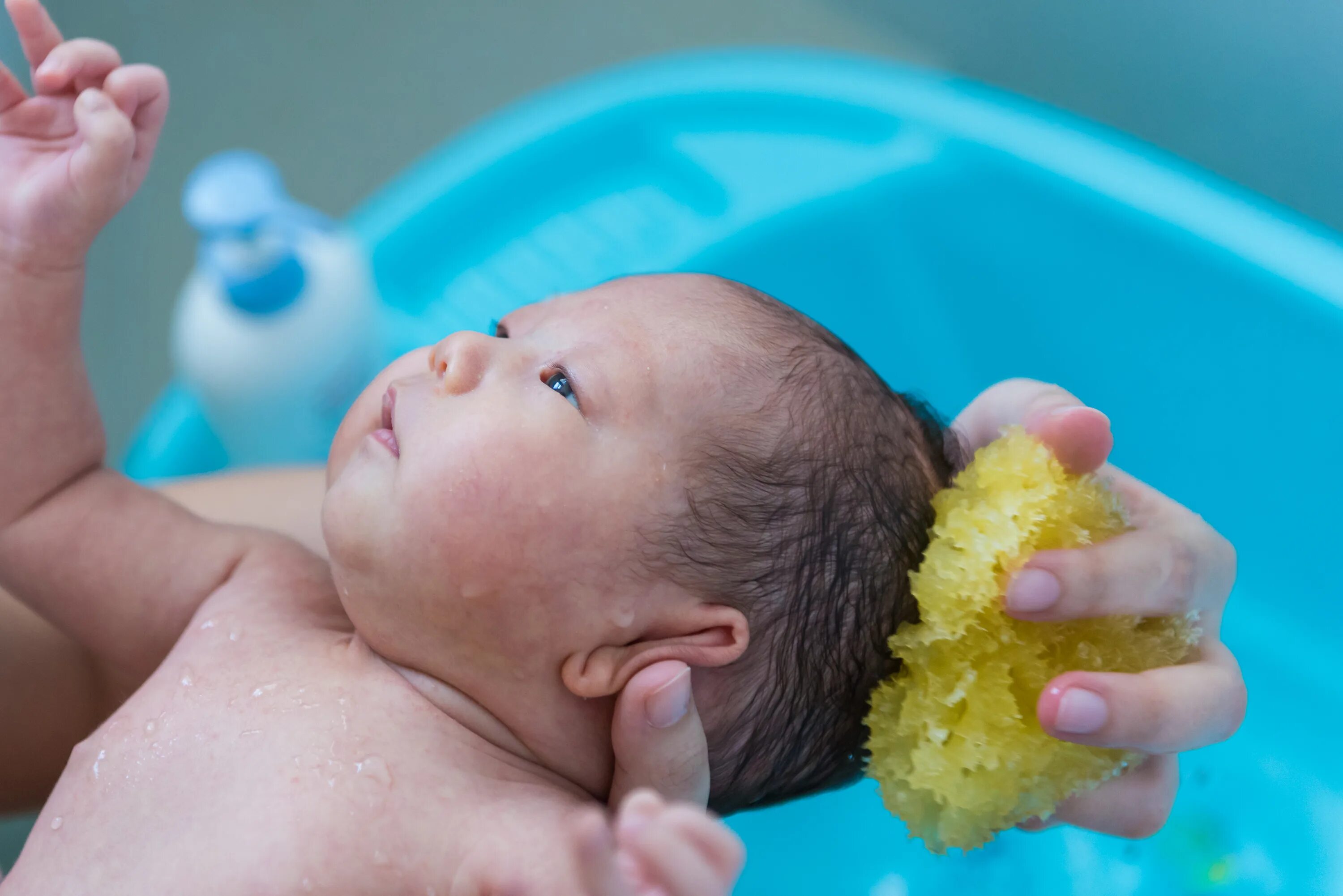 Baby Bath Sponge. Дети купаются с мочалкой. Как купать новорожденного на губке. Накладка в ванну для новорожденных. Купаться 3 месяц