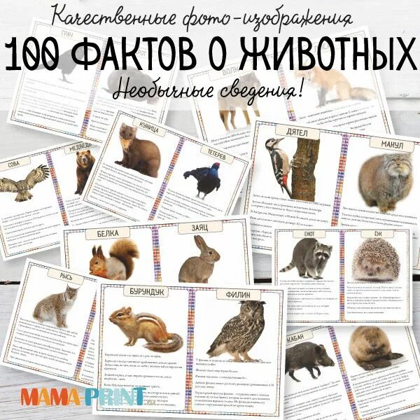 Топ 100 животных. 100 фактов о животных. 100 фактов животные. 100 фактов млекопитающиеся.