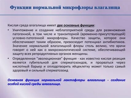 Каким днем считается среда