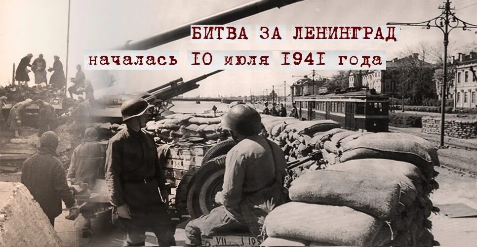 Битва под москвой 1941-1942. Дзот 1941-1945. 1941 год 19 сентября. Битва за москву (30 сентября 1941 - 7 января 1942 года). 1941 год 19 сентября.