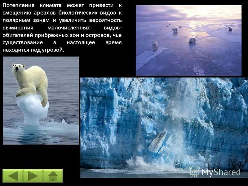 последствия изменения климата. проблемы изменения климата последствия. влияние мирового океана на глобальное потепление. причины глобального потепления. сообщение потепление климата.