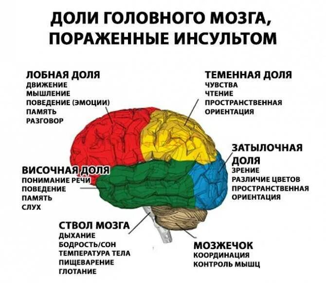 Теменная область поражения