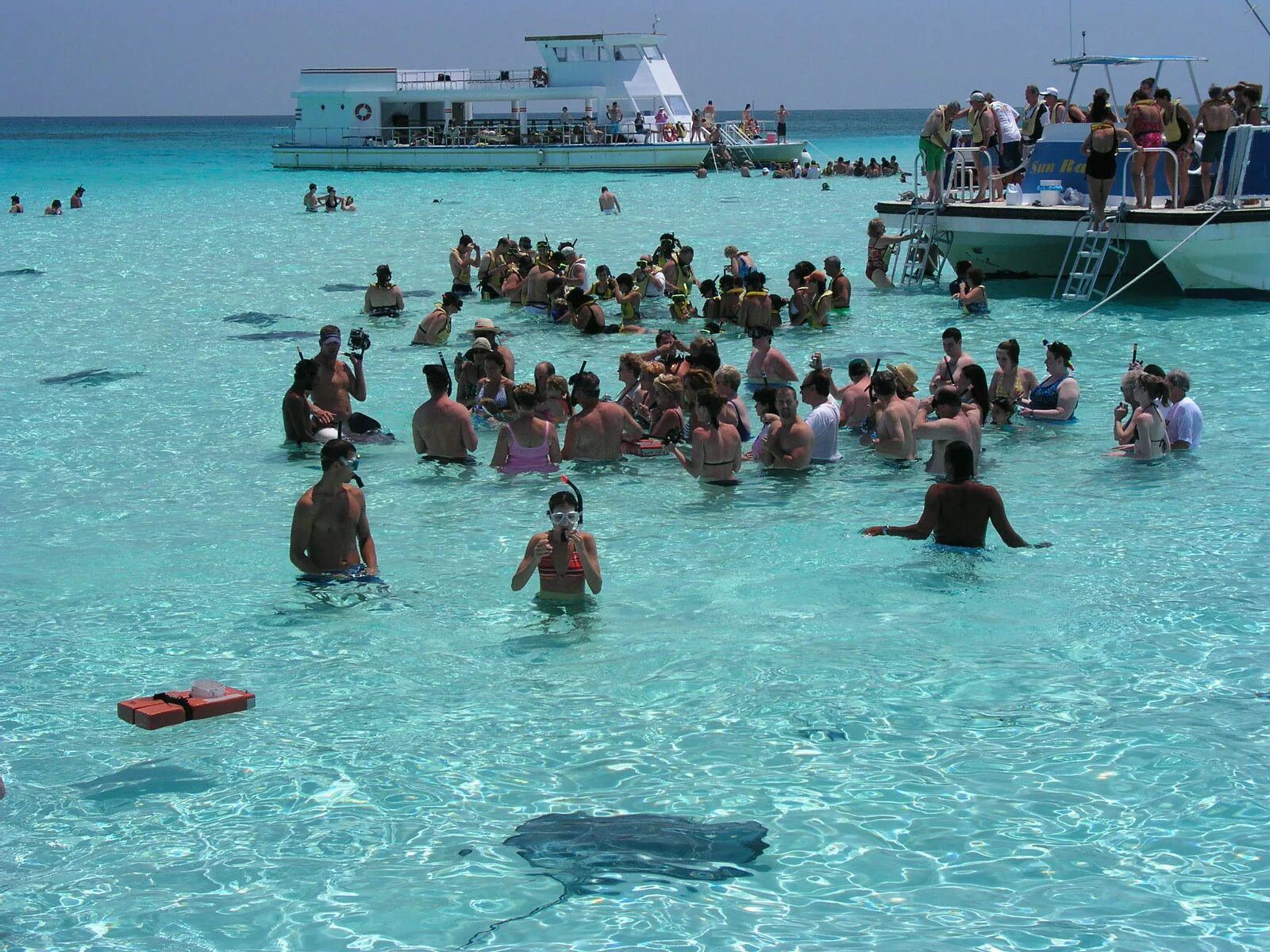 Stingray City Cayman Islands. Купаться в океане. Купаются ли в океане. Каймановы острова.