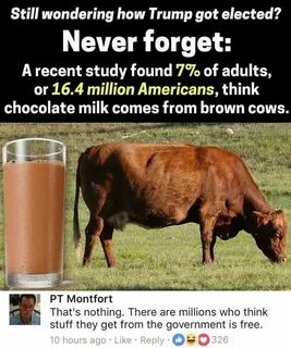 Chocolate Milk Comes From Brown Cows Meme - Meme Walls.