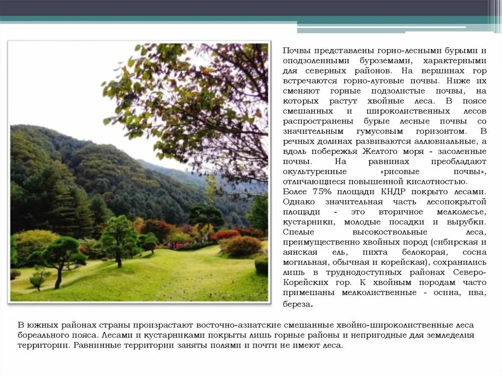 Бурые лесные почвы характерны для. Бурые лесные почвы характерны для. Бурые лесные почвы характерны для. Бурые горно лесные почвы состав. Бурые лесные почвы характерны для.