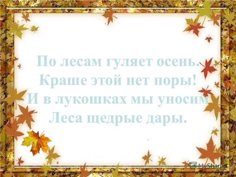 Защита леса презентация. Гуляй лесом значение. Гуляй лесом значение. Гуляй лесом значение. В лукошках мы уносим леса щедрые дары.