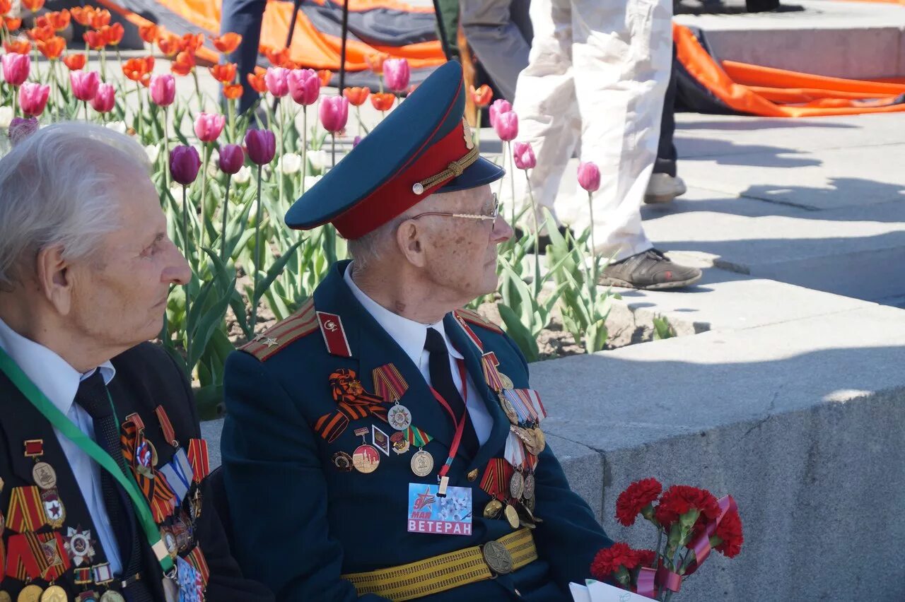 Ветераны Великой Отечественной Брянск. Открытка ветерану ВОВ. Ветеран сбоку. Старый Оскол 9 мая ветераны войны.