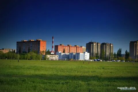 Дурак поли