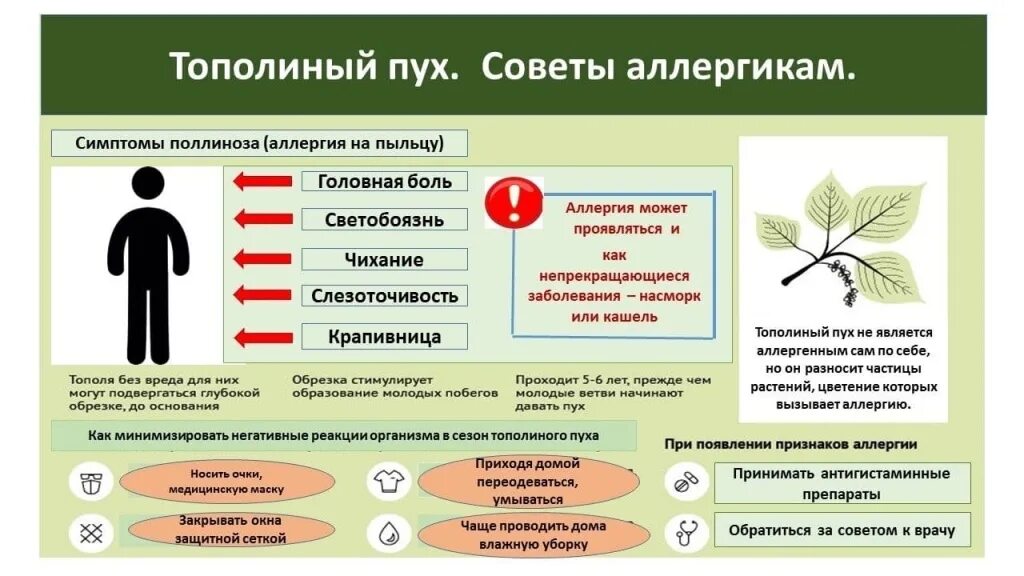 Симптомы аллергии на цветение. Аллергия на Тополиный пух симптомы. Памятка Тополиный пух. Советы аллергикам. Профилактика поллиноза.