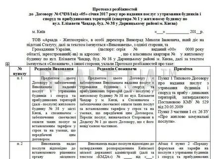 Случай разногласий главного бухгалтера