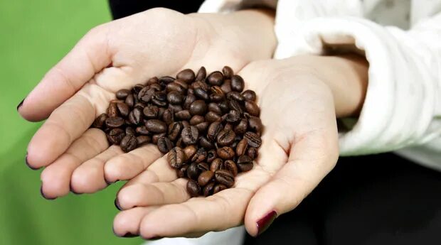 гадание на зернах. гадание на зернах кофе толкование. гадание на кофейных зернах. гадание на зернах. гадание на зернах.