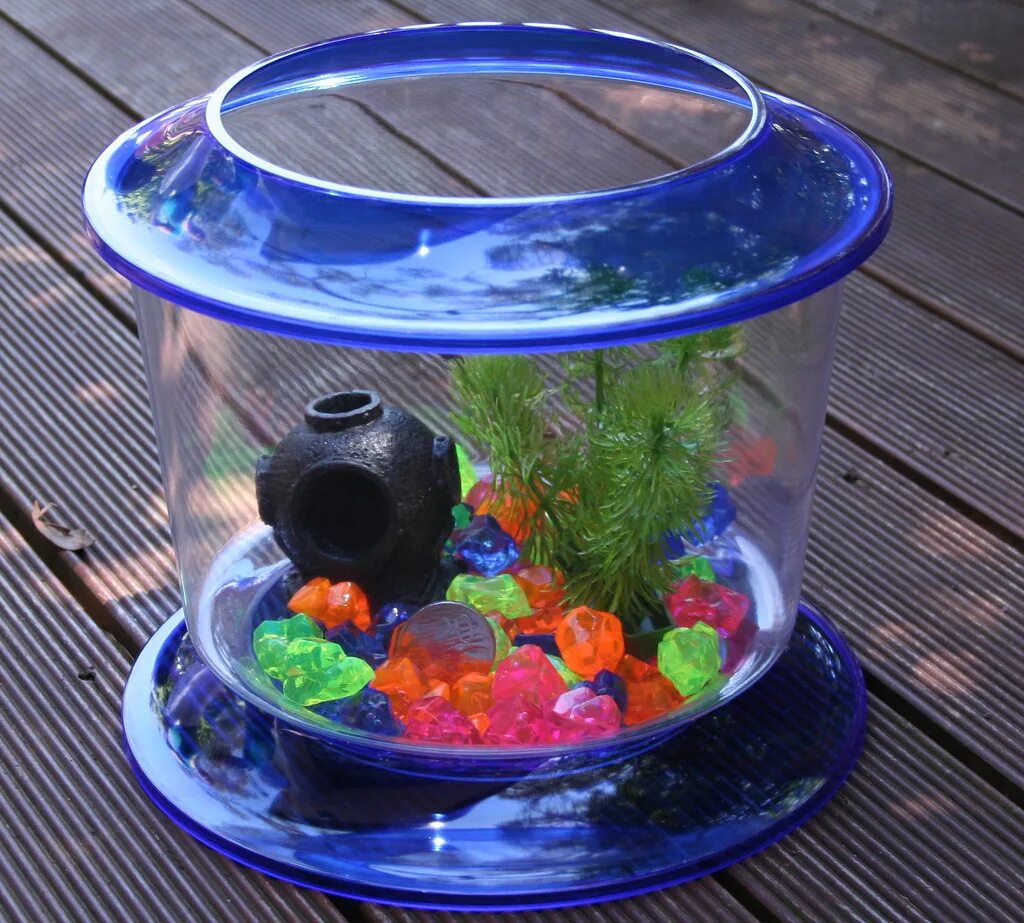 Аквариум tetra cascade globe. Мини аквариум уход. 3. Мини аквариум уход. Петушок в круглом аквариуме.