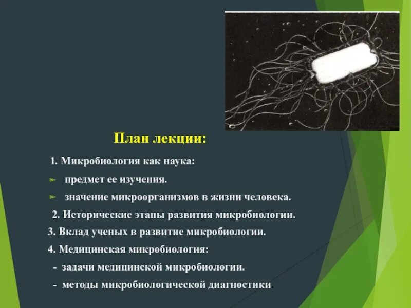 Основы микробиологии и иммунологии зверева бойченко. Основы микробиологии лекции. Основы микробиологии лекции. Микробиолог мария юферова. Учебник эстетики никитина.